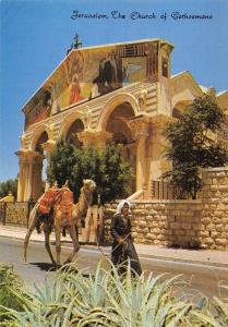 BR98748 jerusalem the church of gethsemane israel camel