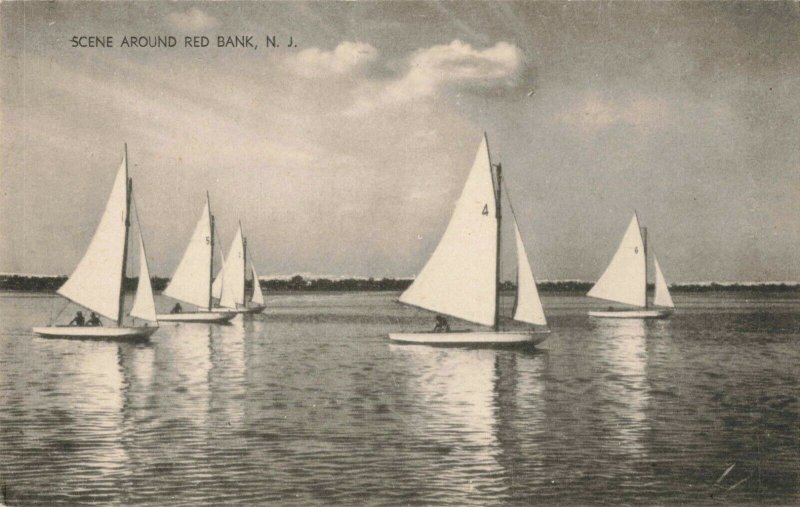 Postcard Sail Boats Red Bank New Jersey