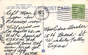 The Horned Toad Postcard