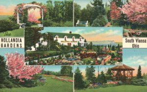 Vintage Postcard 1930's Mark Aukeman Owner Hollandia Gardens South Vienna Ohio 