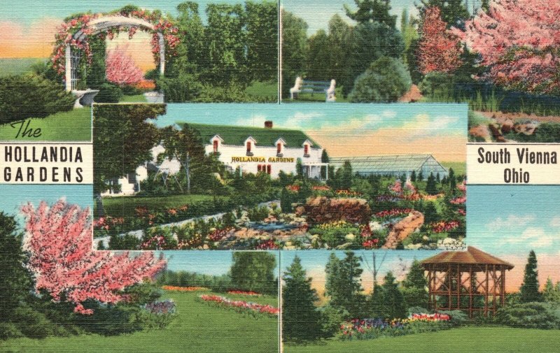 Vintage Postcard 1930's Mark Aukeman Owner Hollandia Gardens South Vienna Ohio 