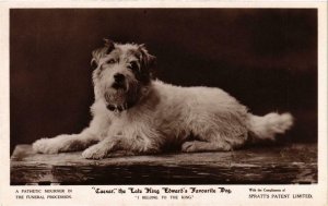 CPA AK Caesar The late King Edward's favourite dog BRITISH ROYALTY (679817)