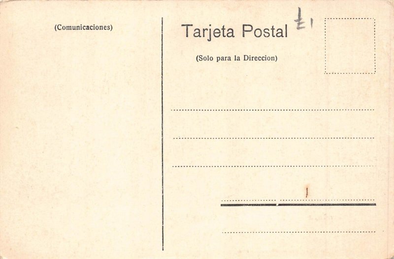 A813 Chile Santiago Quinta Normal Park vintage postcard