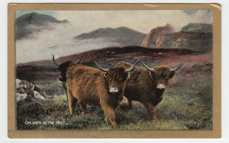 P1972 old valentine,s series postcard children of the mist cattle unused