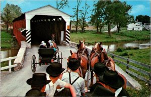 Pennsylvania Amish Country Amish Boys Watching Girls In Carriage