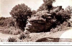 Illinois White Pines Forest State Park The Pinnacle Real Photo