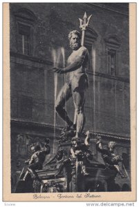 Fontana Del Nettuno, BOLOGNA, Emilia-Romagna, Italy, 00-10's