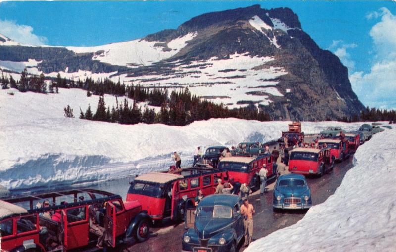 LOGAN PASS MONTANA SNOW COVERED SUMMIT~OLD CARS~OLD TOUR BUS POSTCARD c1964 PSMK