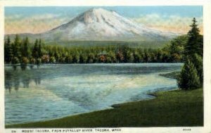 Mount Tacoma - Washington WA  