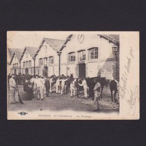 FRANCE 1909, Postcard, Orleans, Grooming, Used