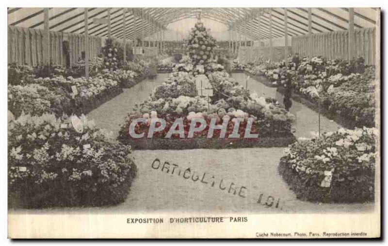 Old Postcard Exhibition Paris D Horticulture Flowers