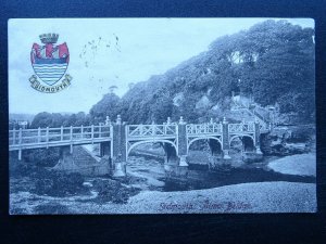 Devon SIDMOUTH Alma Bridge & Heraldic Coat of Arms c1907 Postcard by Frith 52080