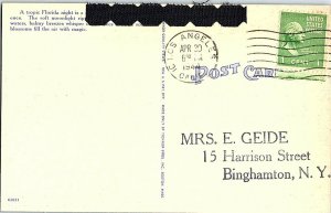 A Moonlit Lake Scene in Southern Florida Vintage Postcard Standard View Card