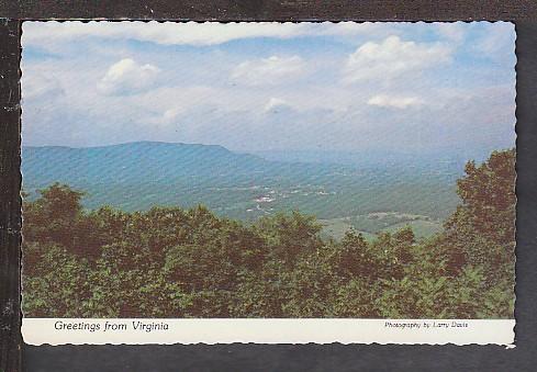Greetings From VA Shenandoah Valley Postcard BIN 