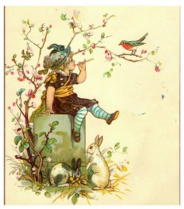 1880's Set of 4 Adorable Kids Birds Flowers Rabbits Victorian Trade Cards P98