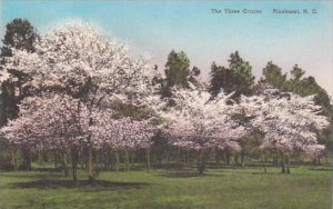 North Carolina Pinehurst The Three Graces Albertype