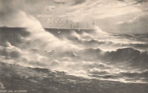 Vintage Postcard Through The Sea At Dover Seagulls Flying Scenic View