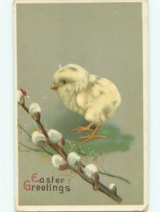 Divided-Back EASTER CHICK SCENE Cute Postcard AA1002