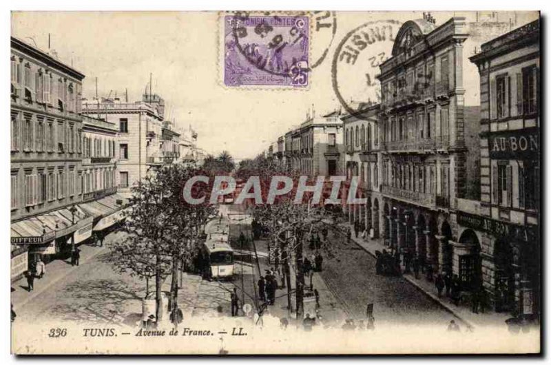 Tunisia Postcard Old Tunis Avenue de France