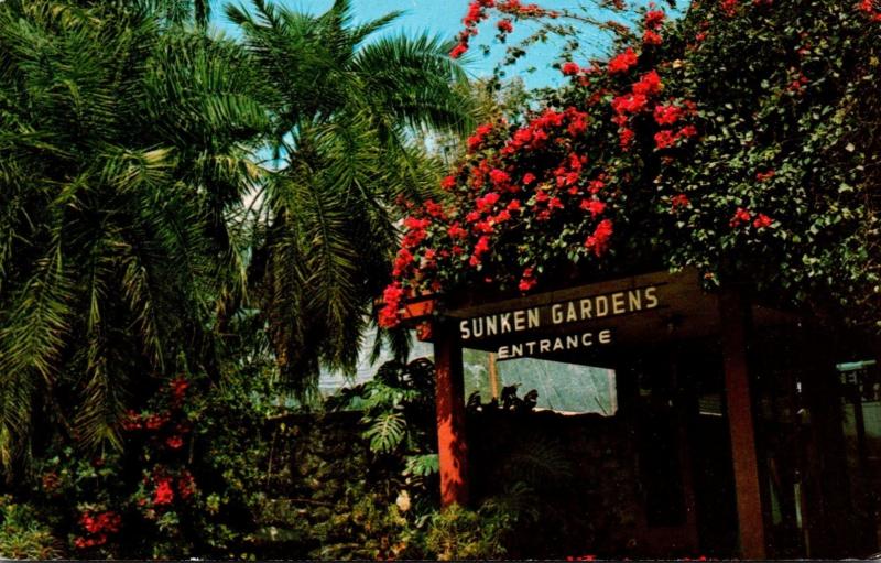 Florida St Petersburg Sunken Gardens Entrance