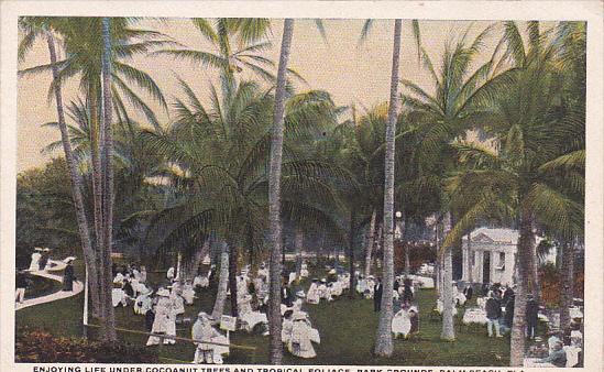 Florida Palm Beach Enjoying Life Under Coc\anut Trees And Tropical Park Grounds