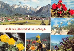 BG12879 gruss aus oberstdorf allgau flower  germany