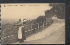 Belgium Postcard - Ardennes Belges - Stavelot - Le Chemin De La Corniche RS16951