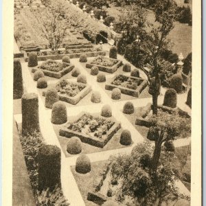 c1910s Williamsburg VA Garden of Governor's Palace BEST LANDSCAPING EVER PC A243