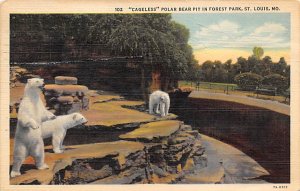 Cageless Polar Bear Pit in Forest Park St Louis, Missouri, USA Bear 1937 