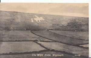 Dorset Postcard - The White Horse - Weymouth - Ref 4665A