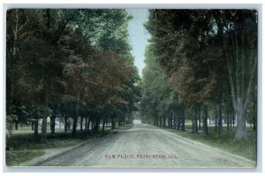 Princeton Illinois IL Postcard Elm Place Dirt Road Trees Scene 1913 Antique