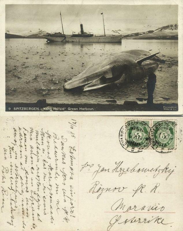 norway, SPITSBERGEN SVALBARD, Green Harbour, Steamer Kong Harald, Whale (1915)