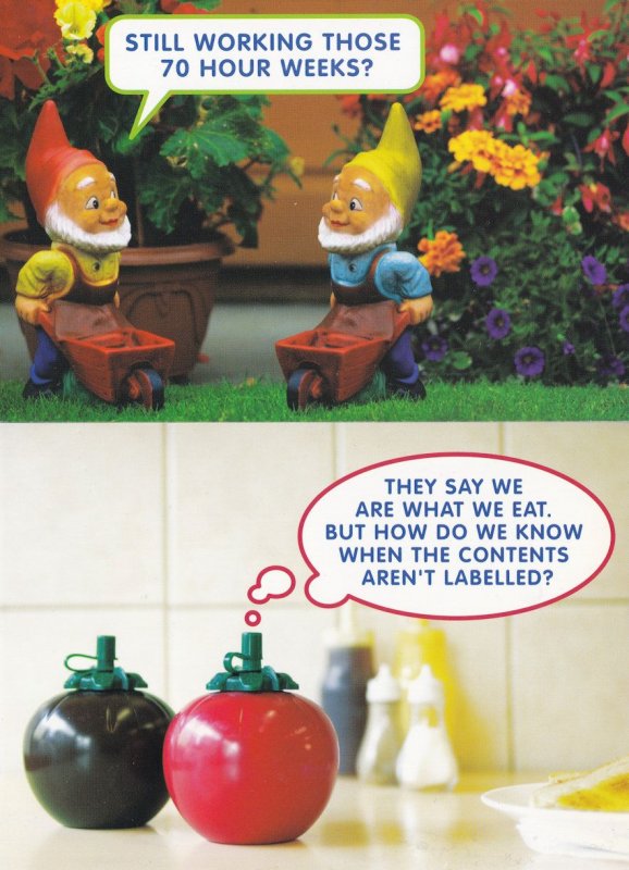 Food Labelling Garden Gnomes European Election Campaign Postcard s