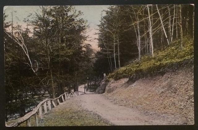 Drive in Ross Park, Binghamton, N.Y. 1914 Walter R. Miller & Co.