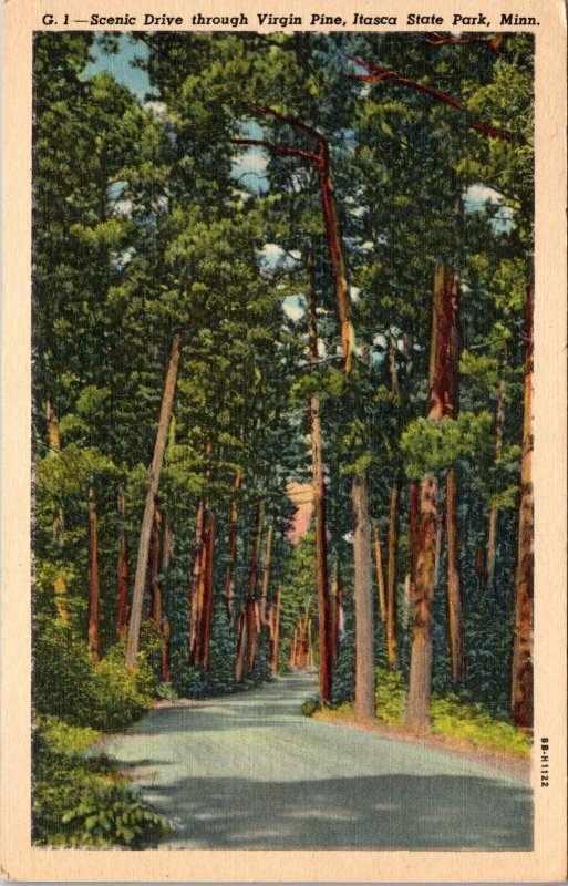 Scenic Drive Through Virgin Pine Itasca State Park Minnesota Postcard PC186