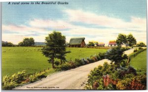 Postcard AR Rural Scene in Beautiful Ozarks country road farm