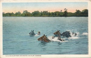 US Cavalrymen Simming with Cavalry Horses - Mailed from Texas - pm 1917 - DB