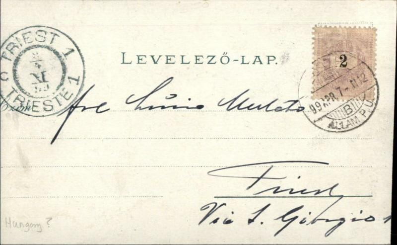 Cyor Cyorbol Hungary Multi View - Udvozlet 1899 Used Postcard