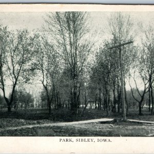 c1910s Sibley, IA Public Park Rare View Litho Photo Telegraph Line Sidewalk A201