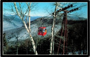 Loon Mountain Lincoln New Hampshire NH Postcard VTG UNP Mike Roberts Vintage 