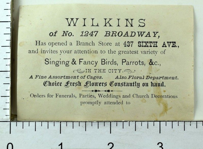 1870's-80's Wilkins, Broadway, NY Live Animals Singing & Fancy Birds Parrots F74