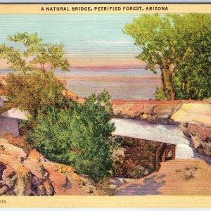 c1940s Petrified Forest, AZ Reinforced Natural Bridge Log Linen PC Frashers A292