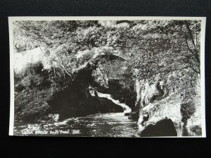 Devon SOUTH BRENT River Avon & Lydia Bridge c1950s RP Postcard by Kenneth E Ruth
