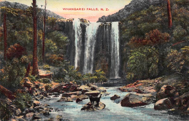Whangarei Falls, New Zealand, Early Postcard, Unused
