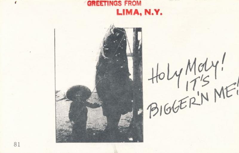 Greetings from Lima NY, New York - Fish is Bigger than Me - Village Print Humor