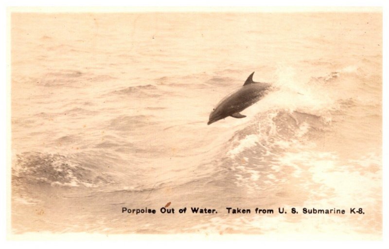 Porpoise Out of Water, picture taken from U.S Submarine K.8