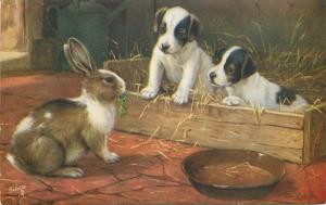 Puppies dogs among the bunnies rabit Raphael Tuck early postcard