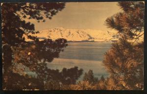 Postcard Used Sierra NV Mountains Lake Tahoe NV LB