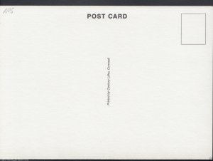 Devon Postcard - Village Stream - Babbacombe Model Village, Nr Torquay  RR5