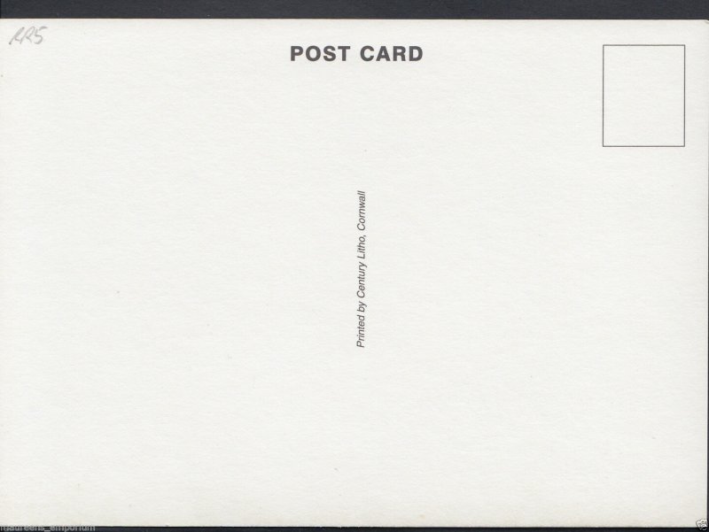 Devon Postcard - Village Stream - Babbacombe Model Village, Nr Torquay  RR5